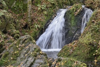 Waterfall in the wild Endert Valley, Moselle, Rhineland-Palatinate, Germany