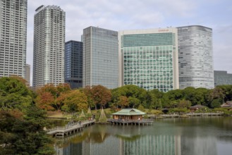 Hamarikyu Park, Imperial Garden of Hama Residence, in front of Skyline, Chuo District, Tokyo,