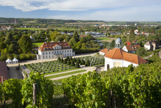 View of Wackerbarth Palace with the Belvedere as seen from the vineyards, Radebeul, Saxon Elbeland,