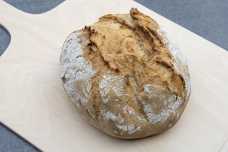 Selbstgebackenes, ofenfrisches und handgeformtes Bauernbrot, Weizenmischbrot, Nahaufnahme,