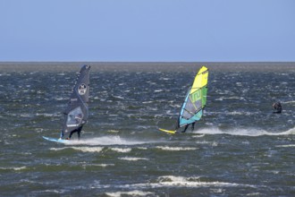 Kiteboarder, kitesurfer and two recreational windsurfers in wetsuits practising classic windsurfing