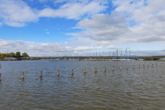 View of a harbour full of yachts under a blue sky with clouds, Lake Neusiedl, Burgenland, Austria