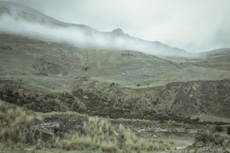Landscape in the highlands, early morning fog, Chacapalpa, Peru