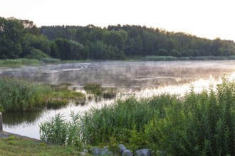 Light fog over the water of the Quitzdorf dam, Kollm, Upper Lusatia, Saxony, Germany
