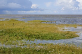 Salt marshes in the Wadden Sea National Park, Dark clouds over the sea, Norddeich, Norden, North