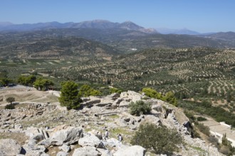 View of olive groves from the citadel, Mycenae, Greek archaeological site, Argolis, Peloponnese,