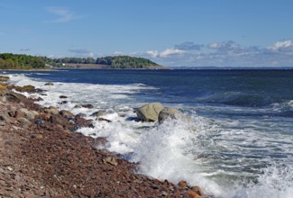Calm beach with rocks and waves under blue sky and green landscape in the background, Tönsberg,