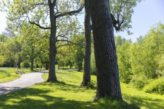 In Auensee Park, Leipzig, Saxony, Germany