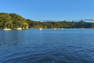 Blue water of the bay with several boats and green hills under a clear sky, Whitianga, Wakaito,