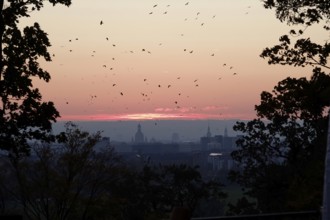 View of the Church of Our Lady Dresden, October evening, Dresden, Saxony, Germany