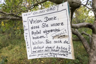 Sign on an apple tree, theft, Baden-Württemberg, Germany