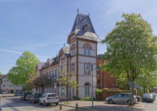 Old town hall Geesthacht at the Rathaussctrasse, in front of it a blossoming chestnut tree in