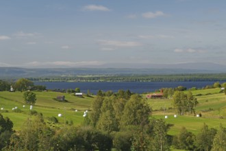 A wide, green landscape with meadows, fields and groups of trees in front of a lake and blue sky,