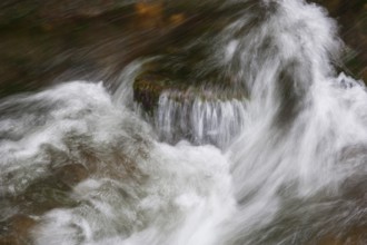 Mountain stream, Zellerache flows over stones through the Helenental, Mondsee, Mondseeland,