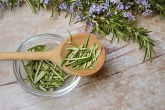 Rosemary, plucked rosemary leaves in wooden spoon and bowl