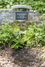 Elster spring, the source of the Black Elster, south of Elstra, near the district of Kindisch,