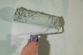 Person paints wall with light green paint and holds paint roller for painting work, Stuttgart,