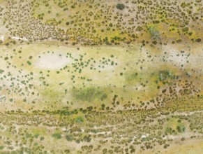 Detail of marshland near Sanlúcar de Barrameda. Aerial view. Drone shot. Cádiz province, Andalusia,