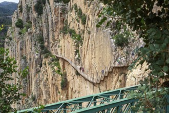 Wooden footbridge on a steep rock face in a gorge on the Caminito del Rey, Malaga, Spain