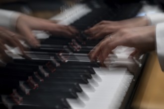 Moving hands of a young pianist playing on the keyboard of a Steinway & Sons grand piano,