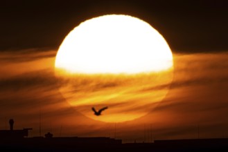 The sun rises in the morning behind the Frankfurt district of Riedberg, Riedberg, Frankfurt am