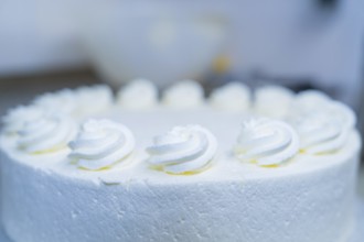 Simple cream cake with several cream toppings in a minimalist presentation, cake baking,