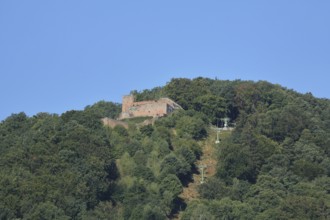 Rietburg near Edenkoben, Wine Route, Palatinate Forest, Rhineland-Palatinate, Germany