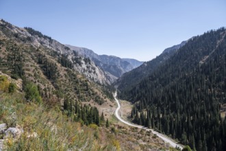 Road through a mountain valley in autumn, Eki-Naryn Gorge, Naryn Province, Kyrgyzstan