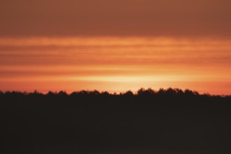 Sunrise over the forest. Pobierowo, Poland