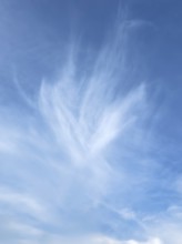 Cirrus veil cloud Feather cloud in the shape of a flower in blue sky, international
