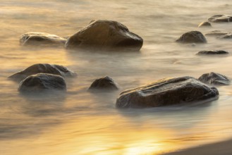 Evening on the chalk coast in Jasmund National Park, Rügen, Sassnitz, Mecklenburg-Western