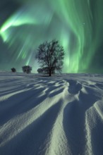 A spectacular display of green aurora borealis lights up the winter northern night sky above a