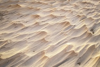 Fascinating texture of a pumice field in Catamarca, Argentina. The natural formations create a