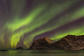 Aurora over the mountains and sea of Lofoten, Northern Lights, Northern Lights, Landscape, Leknes,