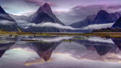 New Zealand, South Island, Milford Sound, clouds of fog, reflection in water, rain clouds, Milford