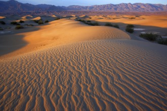 Dead Valley, California, USA, Dead Valley, California, USA