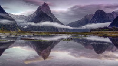 New Zealand, South Island, Milford Sound, landscape, water
