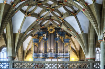 Interior photo, organ in the gallery, vaulted ceiling, evangelical town church, Bad Wimpfen,