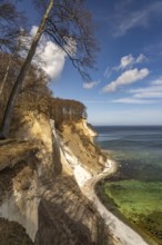 The famous chalk cliffs on the Baltic Sea coast in Jasmund National Park, Ruegen Island,