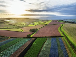 Colours of autumn Fields and Farms over Sheldon from a drone, Torbay, Devon, England, United