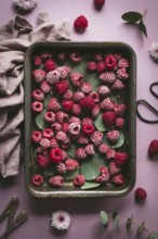 A tray of frozen raspberries with scattered eucalyptus leaves on a pink surface, surrounded by