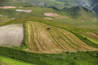 The lentil bloom in Castelluccio di Norcia, nestled in the Sibillini Mountains of the Italian