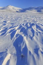 Winter mountain landscape, morning light, snow drifts, winter, snow, cold, Dempster Highway, Yukon,