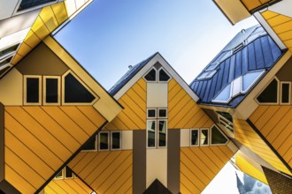 Cube houses from 1984, architect Piet Blom, Rotterdam, the Netherlands