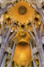 Interior view of the Familia Sagrada by the architect Antonio Gaudi in Barcelona, Spain