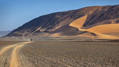 Majestic, curved sand dunes on the edge of a desert road, The landscape of the Sahara in Algeria