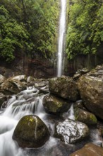 High waterfall on the Levada das 25 Fontes e Risco, surrounded by moss-covered rocks, Rabaçal