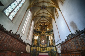 Interior view, view of the choir room, choir stalls, Dominican Church, Bad Wimpfen, Kraichgau,