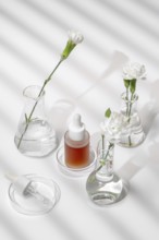 From above a serene setup of skin care products and fresh flowers in laboratory glassware, captured