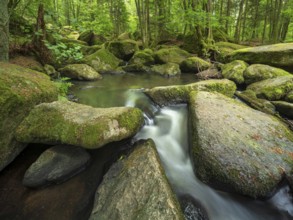 The Höllbach in the Hölle Nature Reserve flows through green forest and large moss-covered rocks,